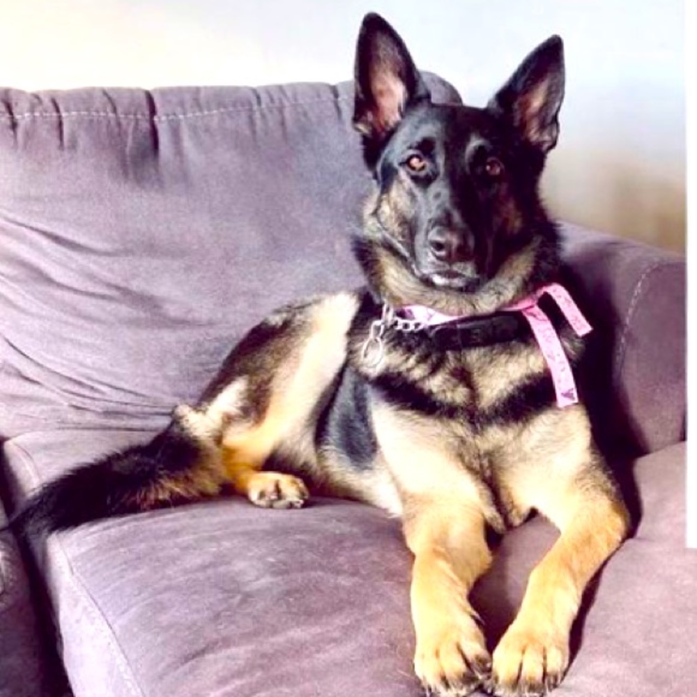 🐝 30% of 3 or more items in a bundle!